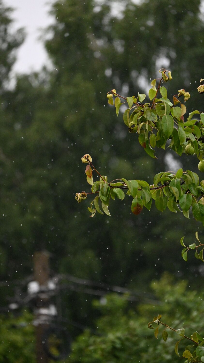 Photo #13808118