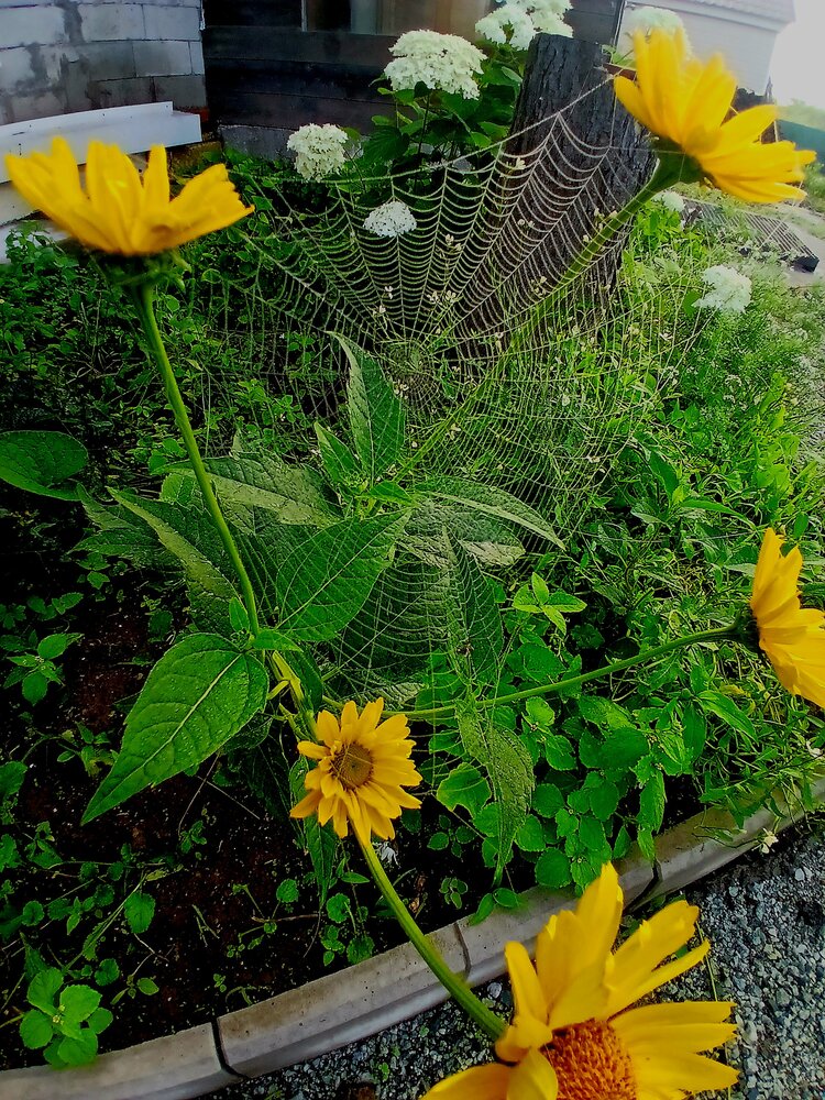 Photograph by Анна Самара