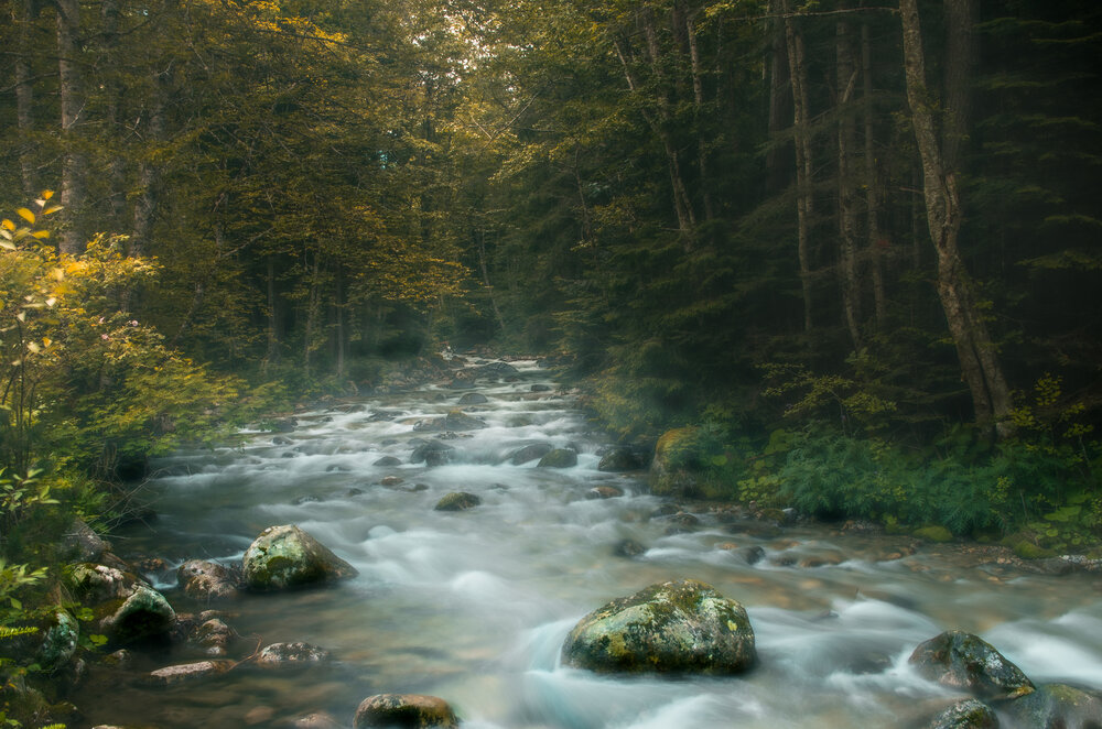 Photograph by Николов Андриян