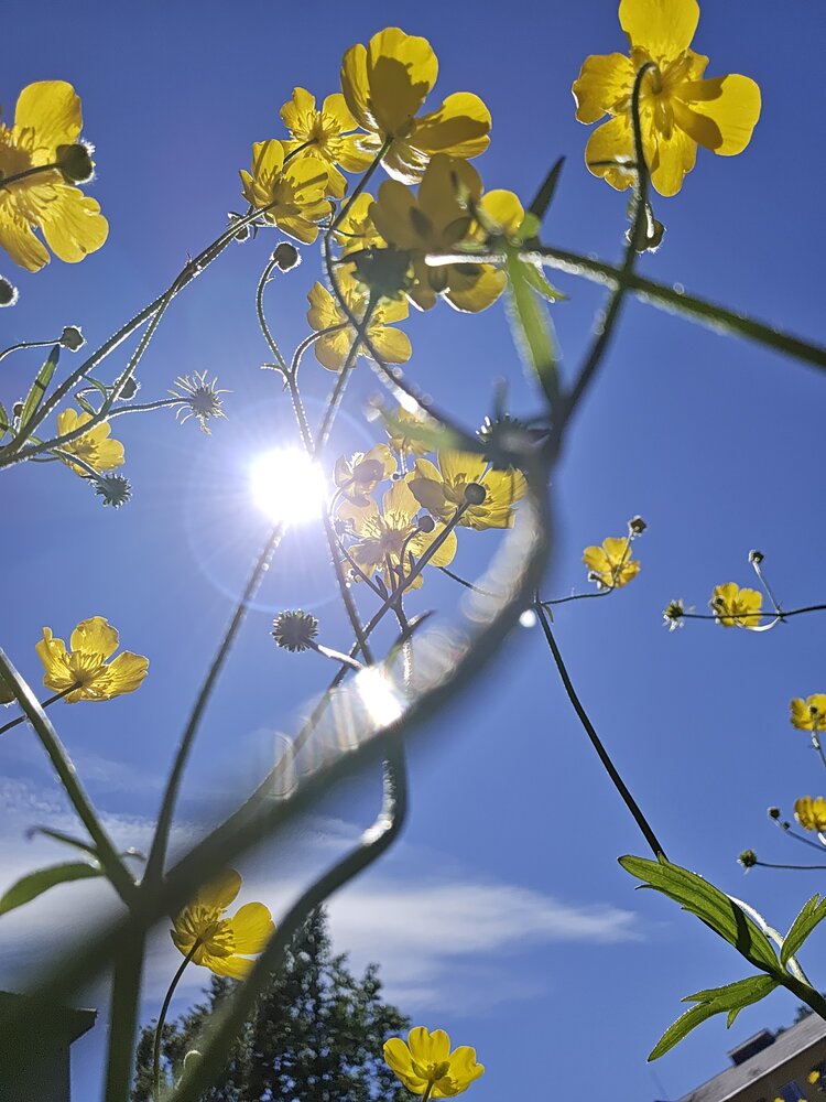 Photograph by Жанна Регор