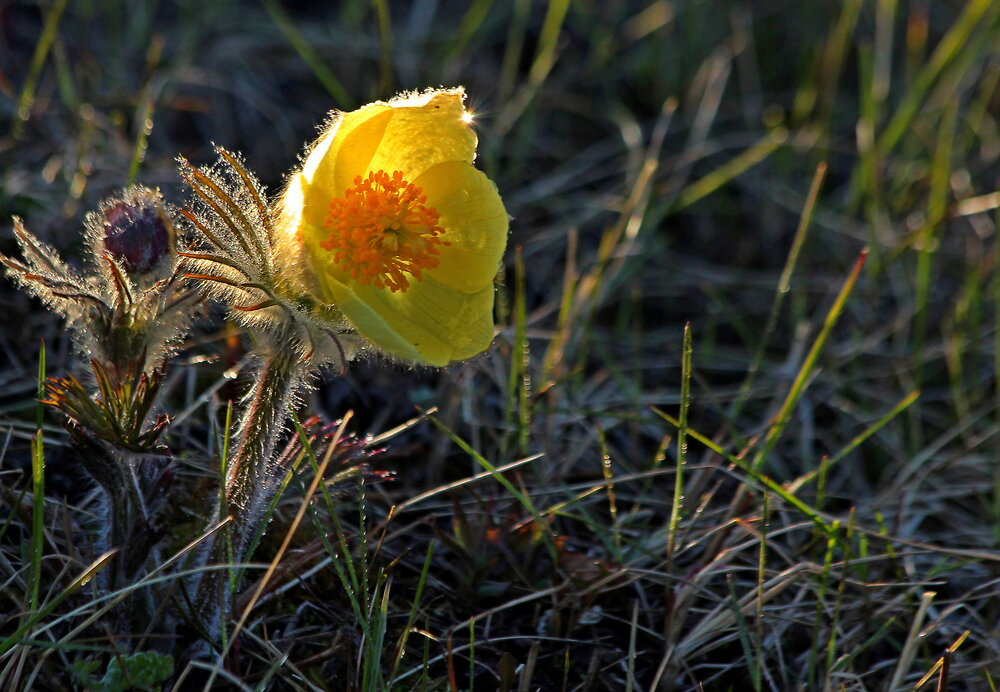 Photograph by Александр Велигура