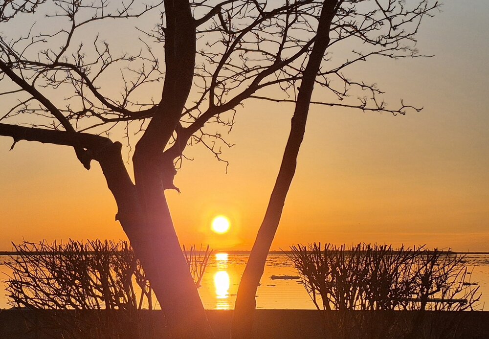 Photograph by Валентина Сергеева