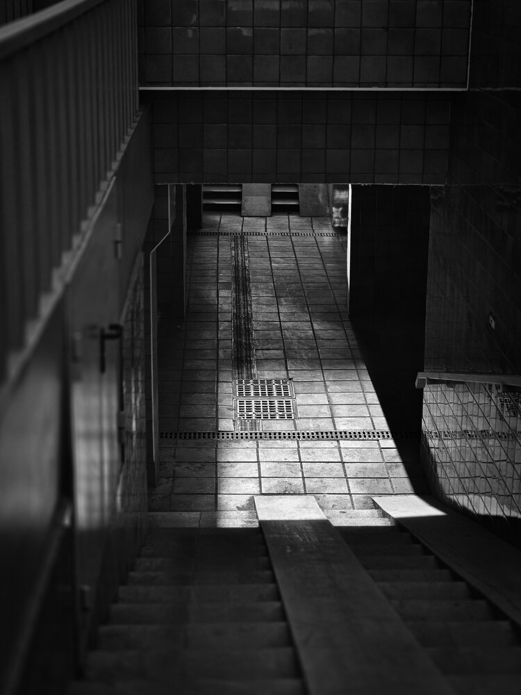 Photo #13808396