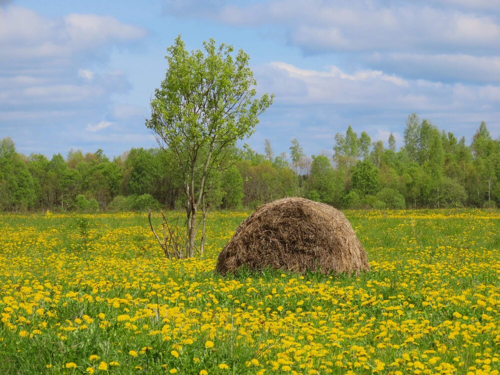 Photograph by Ольга Митрофанова