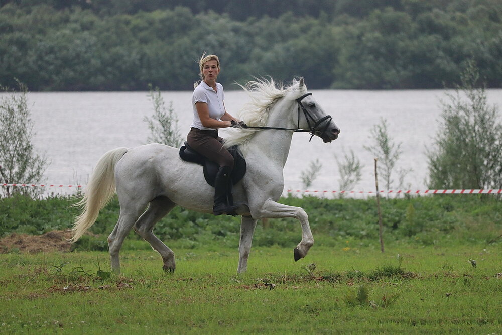 Едины.