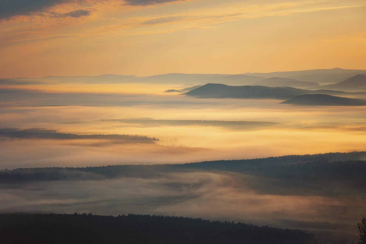Photo #13808443