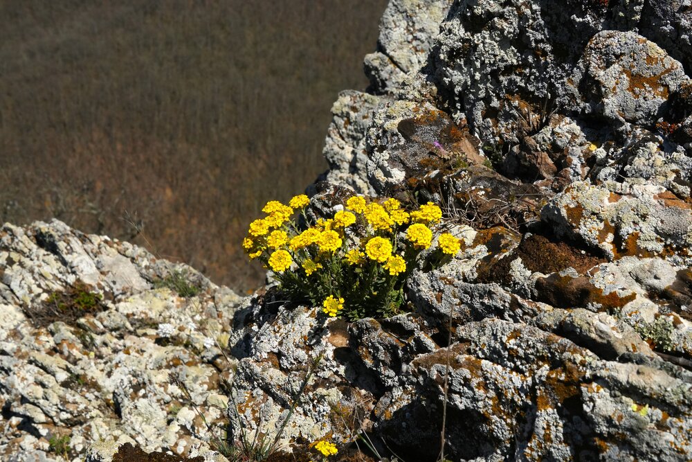 Photograph by света хлевненко