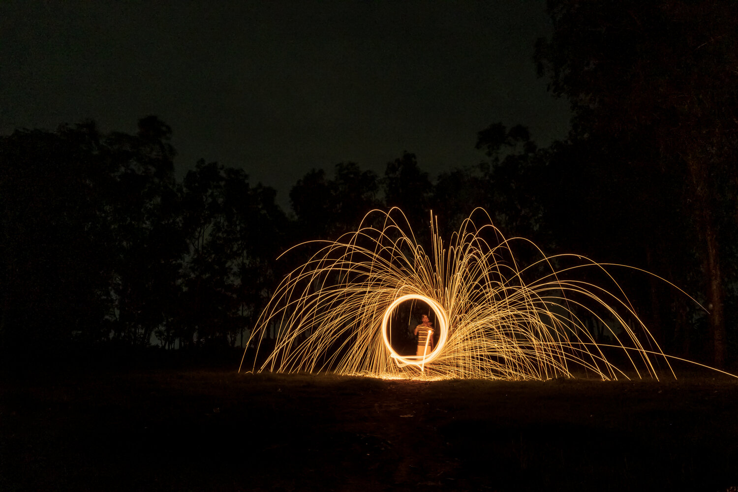 Photo #13808549