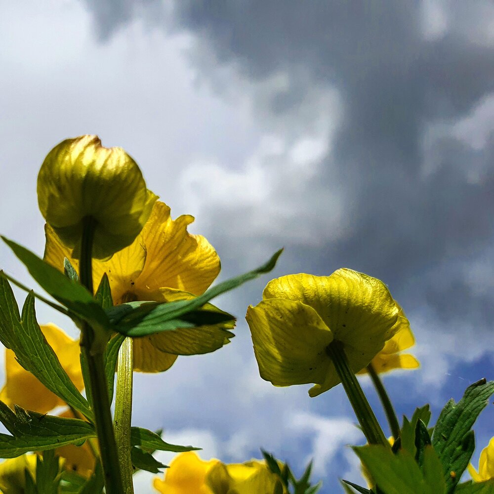 Photograph by Оксана Бессчетнова