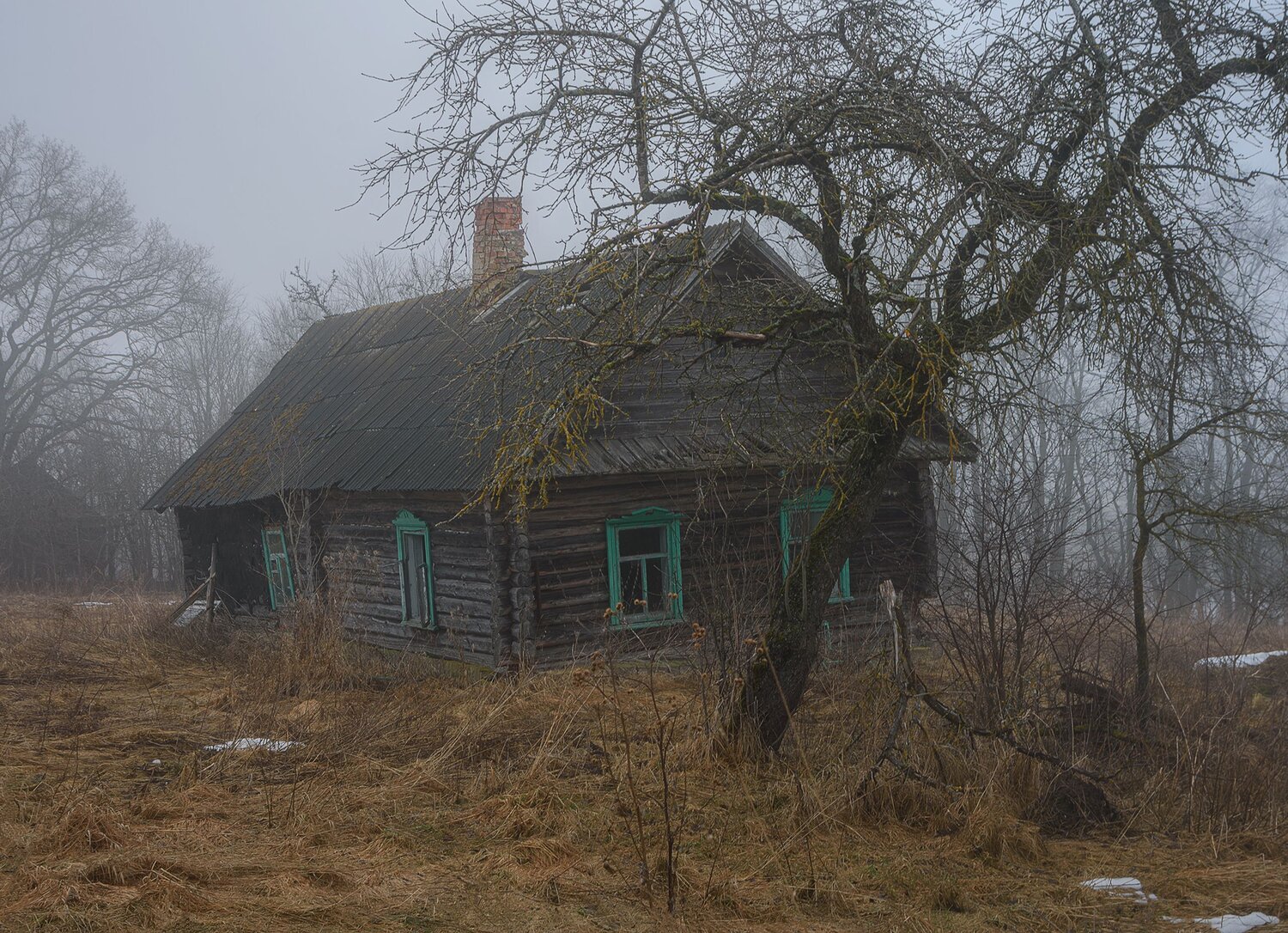Photo #13808570