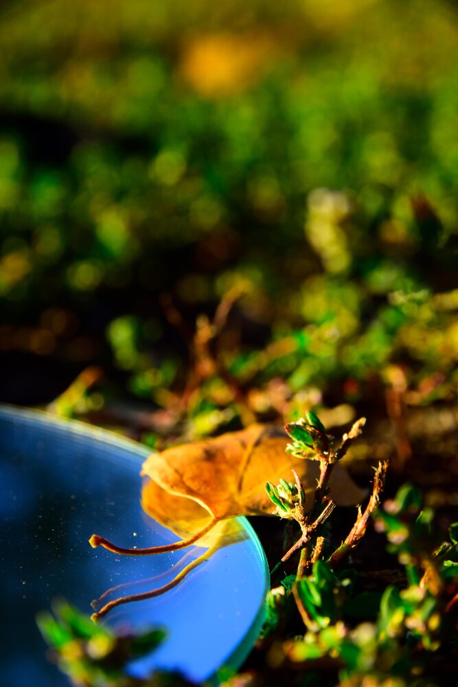 Photograph by Ольга Рыкова