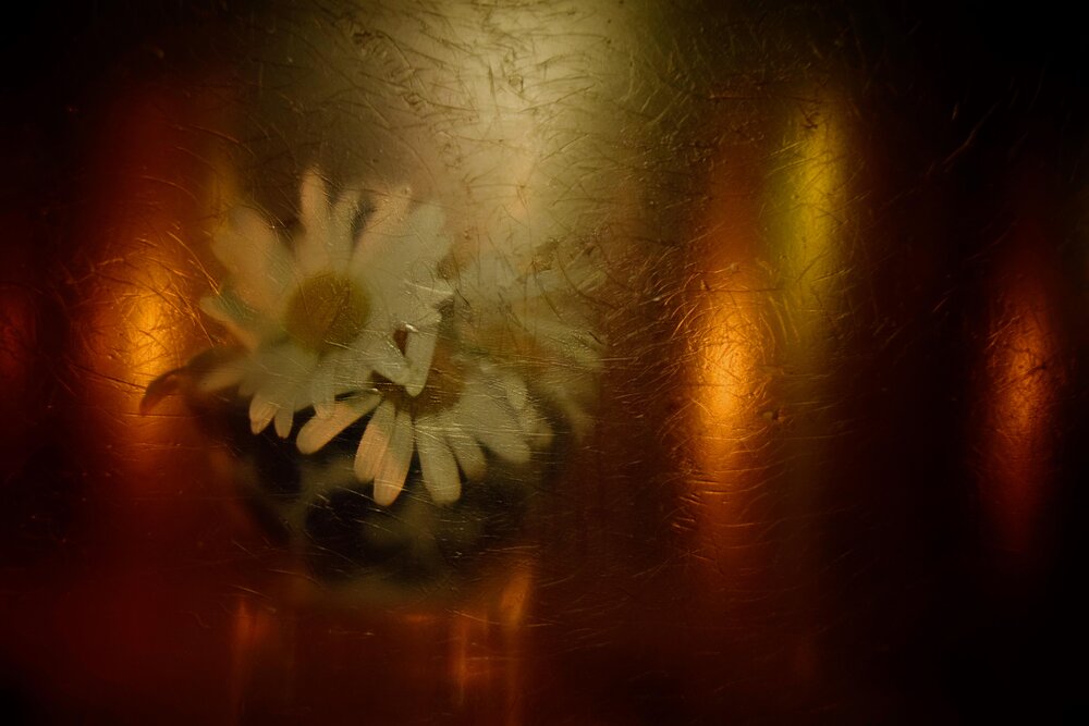 Photograph by Ольга Рыкова