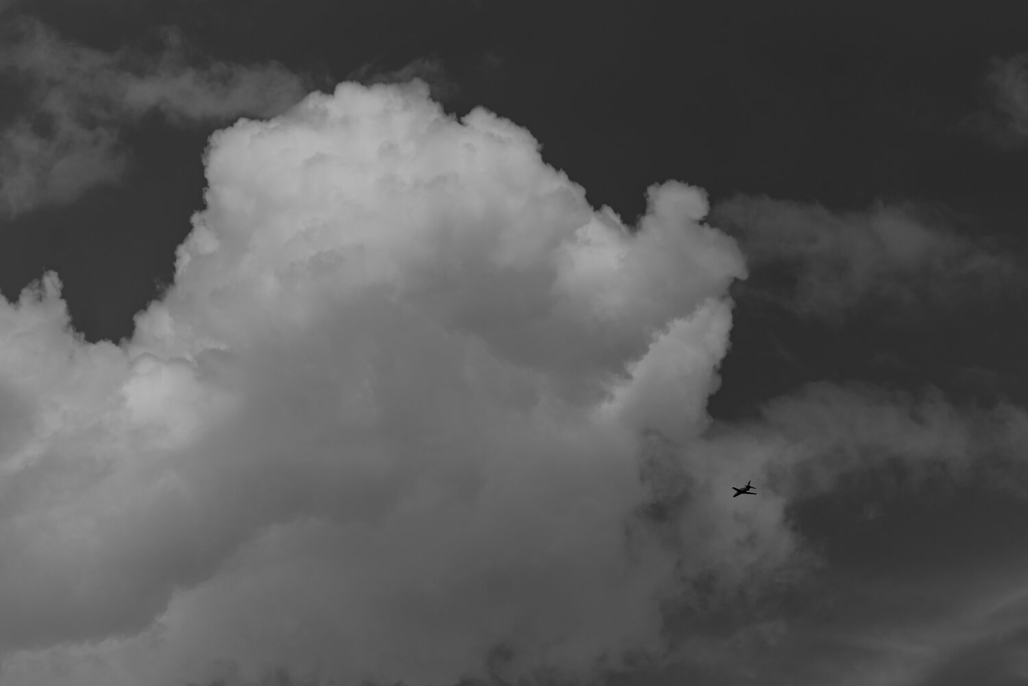 Photo #13808589