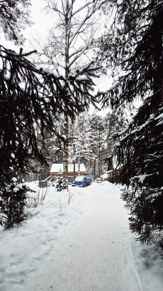 Photograph by Elina Nersesova