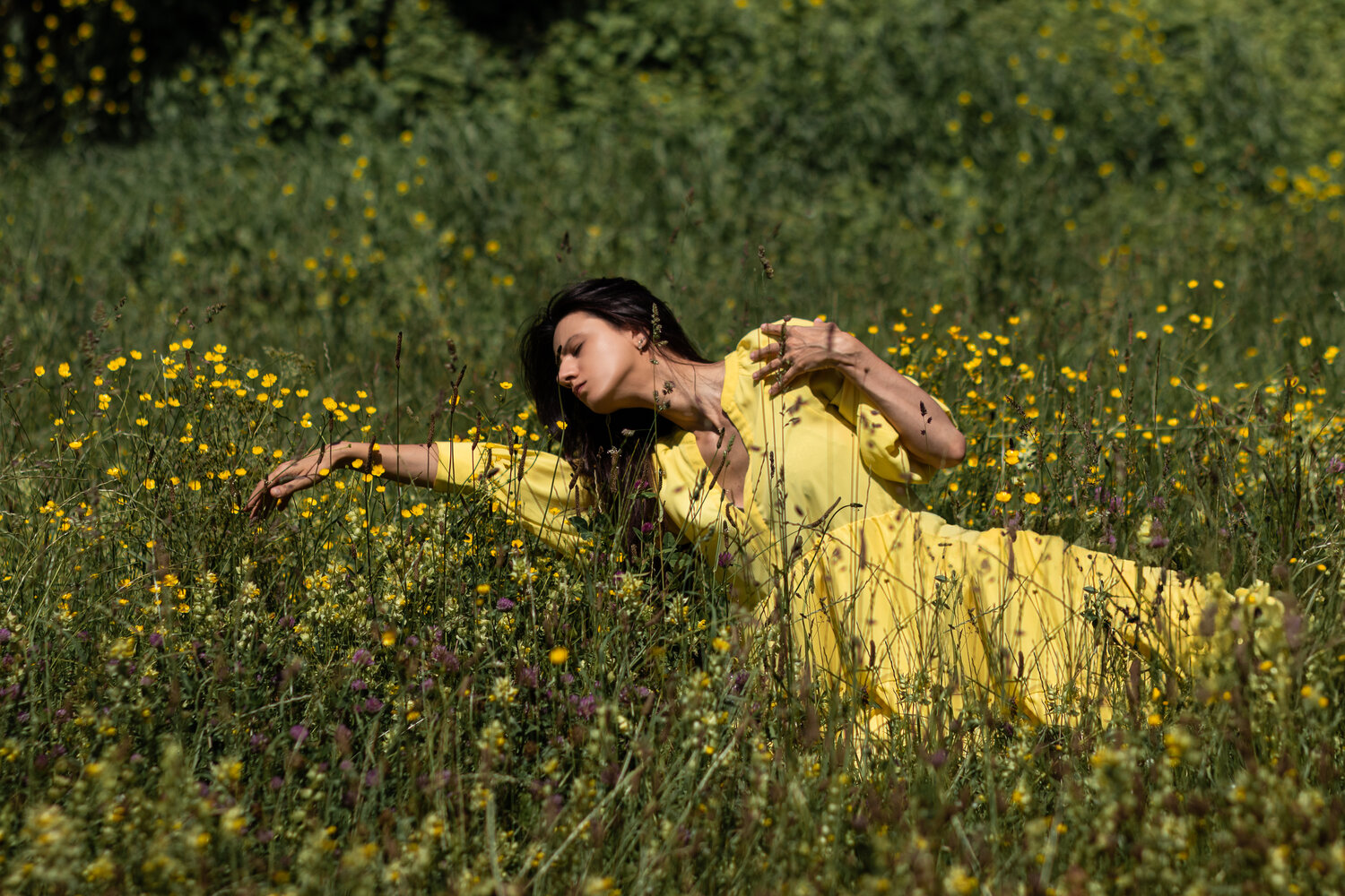 Photo #13808644