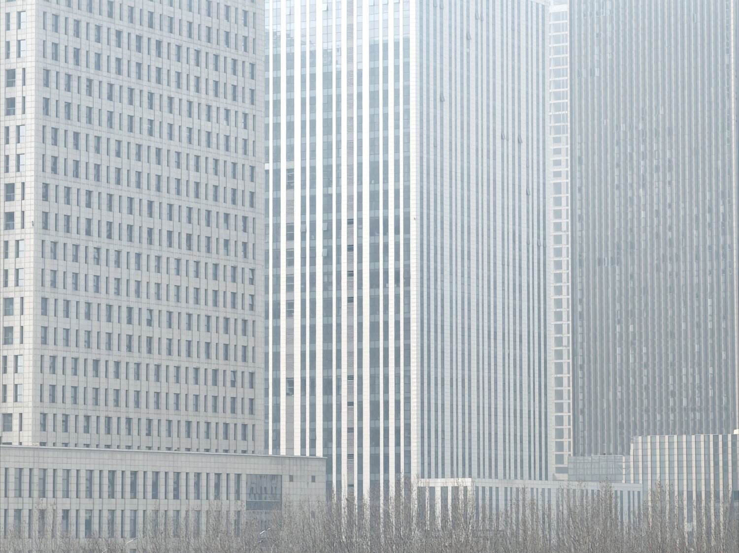 Photo #13808663