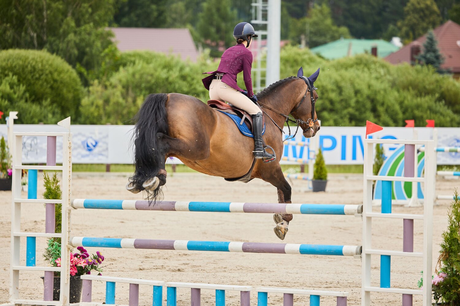 Photo #13808696