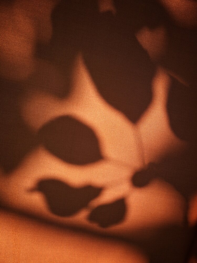 Photograph by Наталья Макаренкова