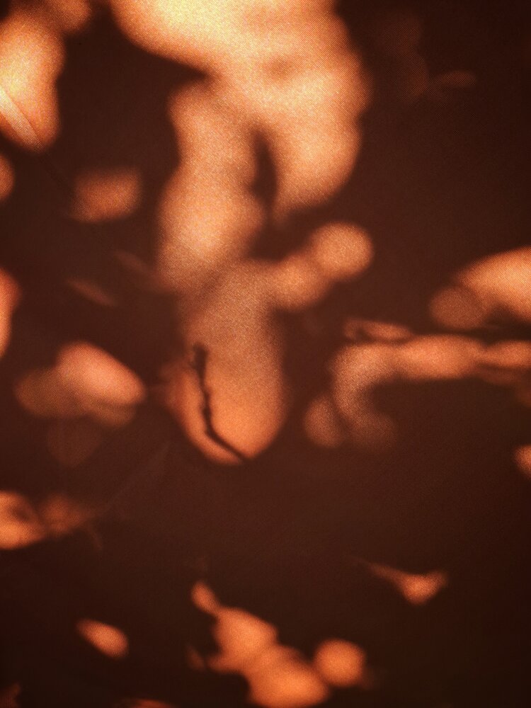 Photograph by Наталья Макаренкова