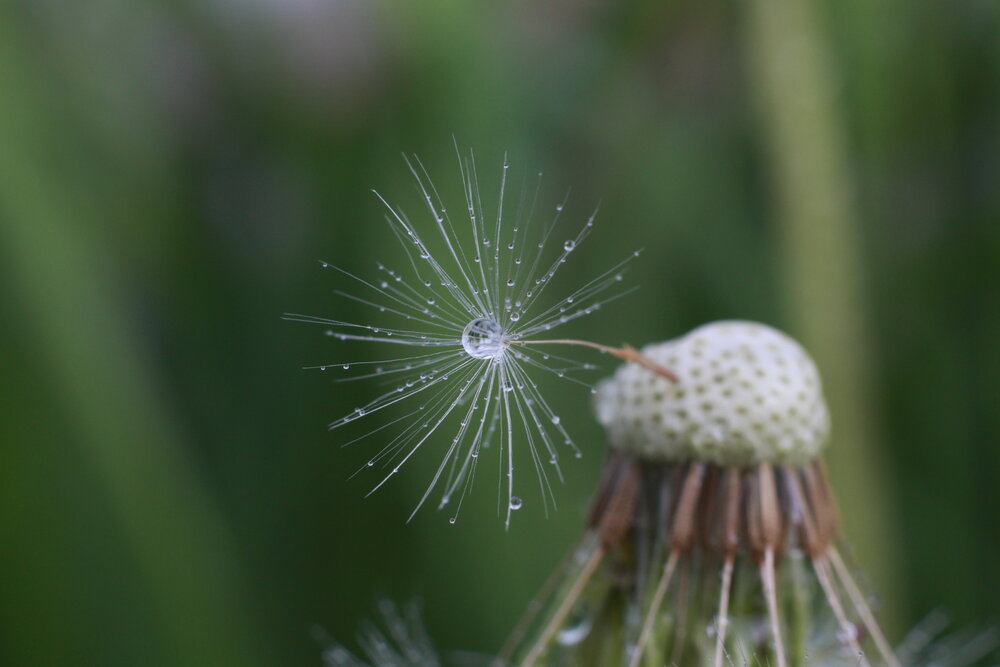Photograph by Елена Карпухно