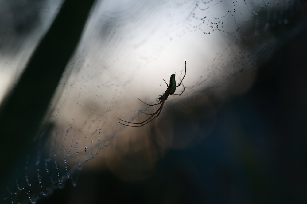 Photograph by Елена Карпухно