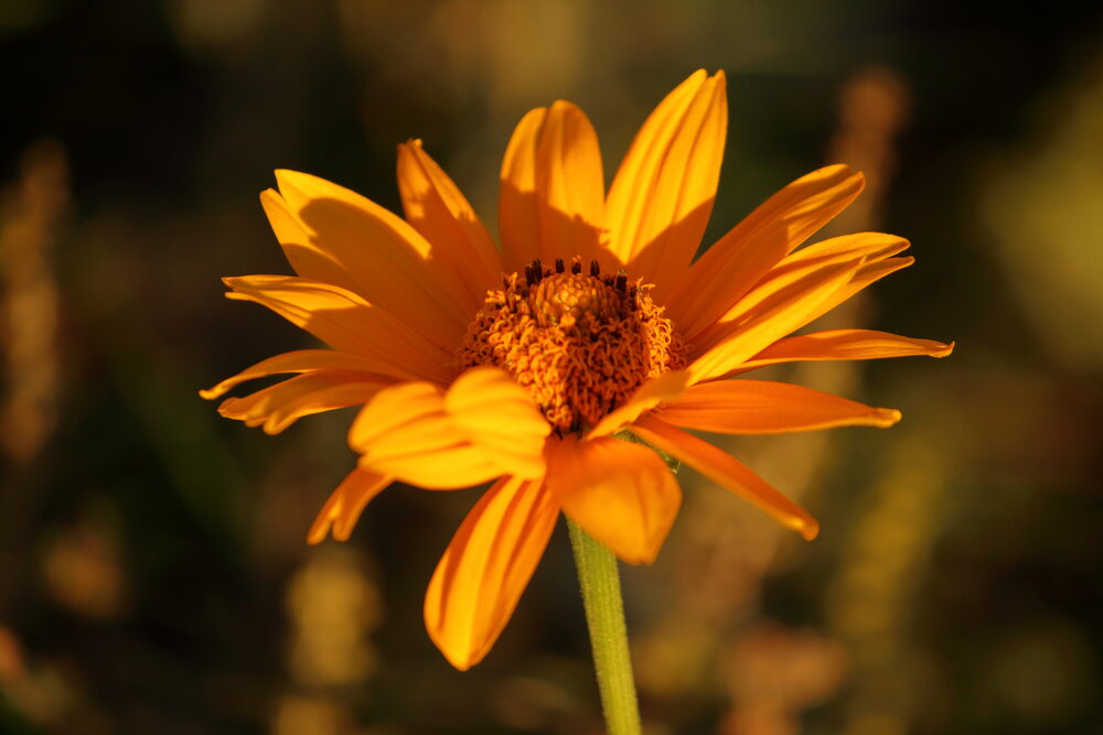 Photograph by Оксана Малахова