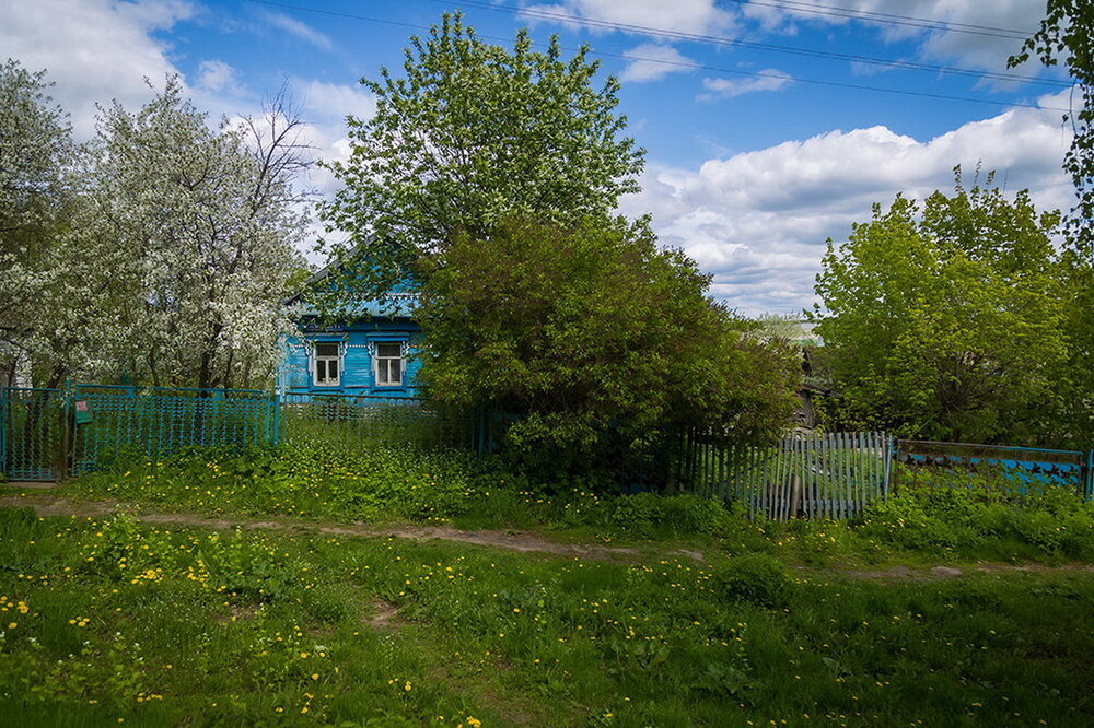 Photograph by Галина Чепиль