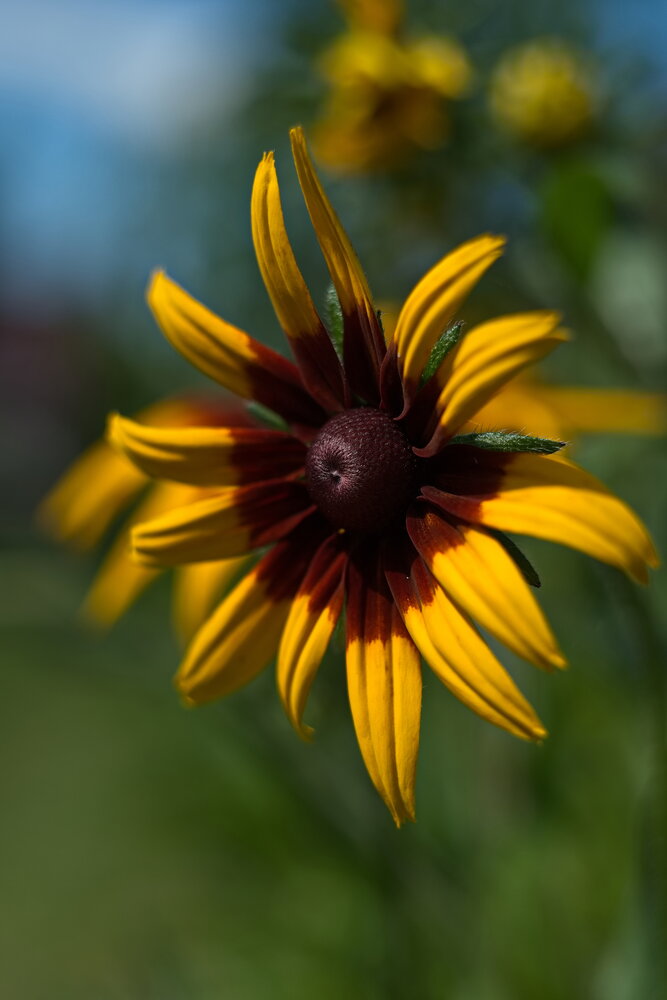 Photograph by Юрий Кашлевский