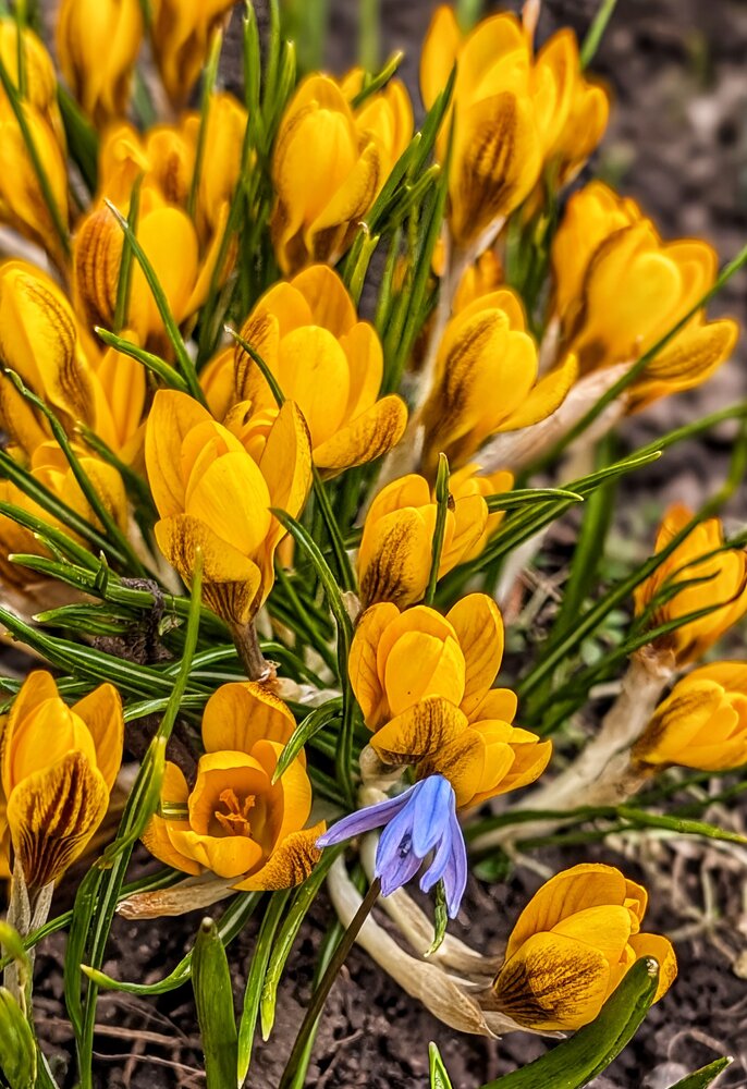 Photograph by Любовь Колмакова