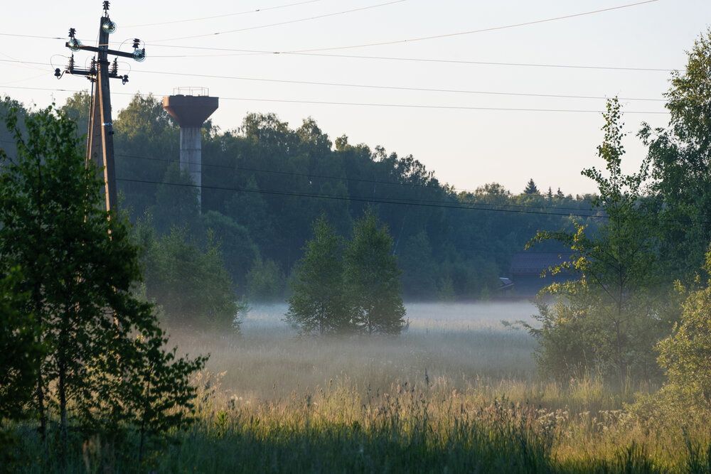 Photo #13808904