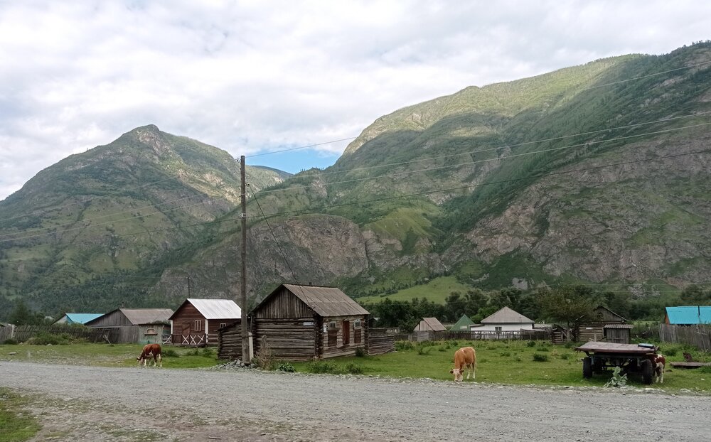 Photograph by Ирина Орлова