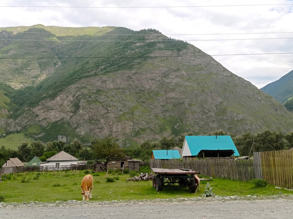 Photograph by Ирина Орлова