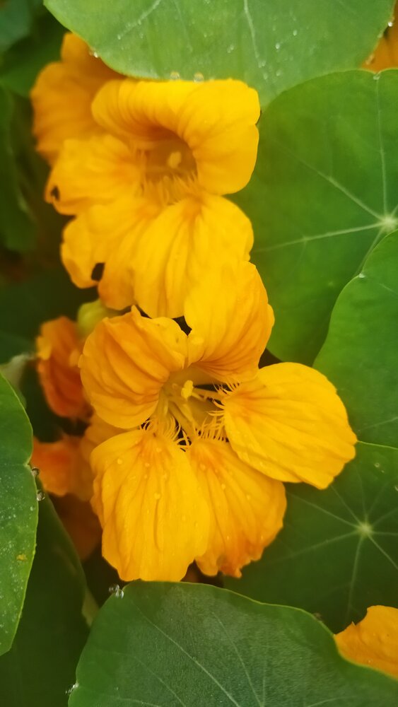 Photograph by Юлия Морозова