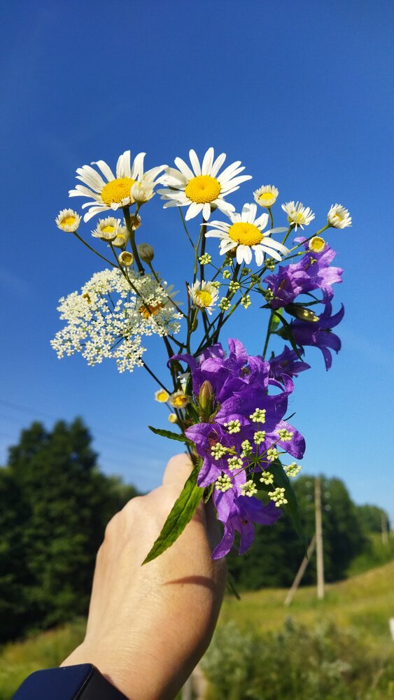 Photograph by Юлия Морозова