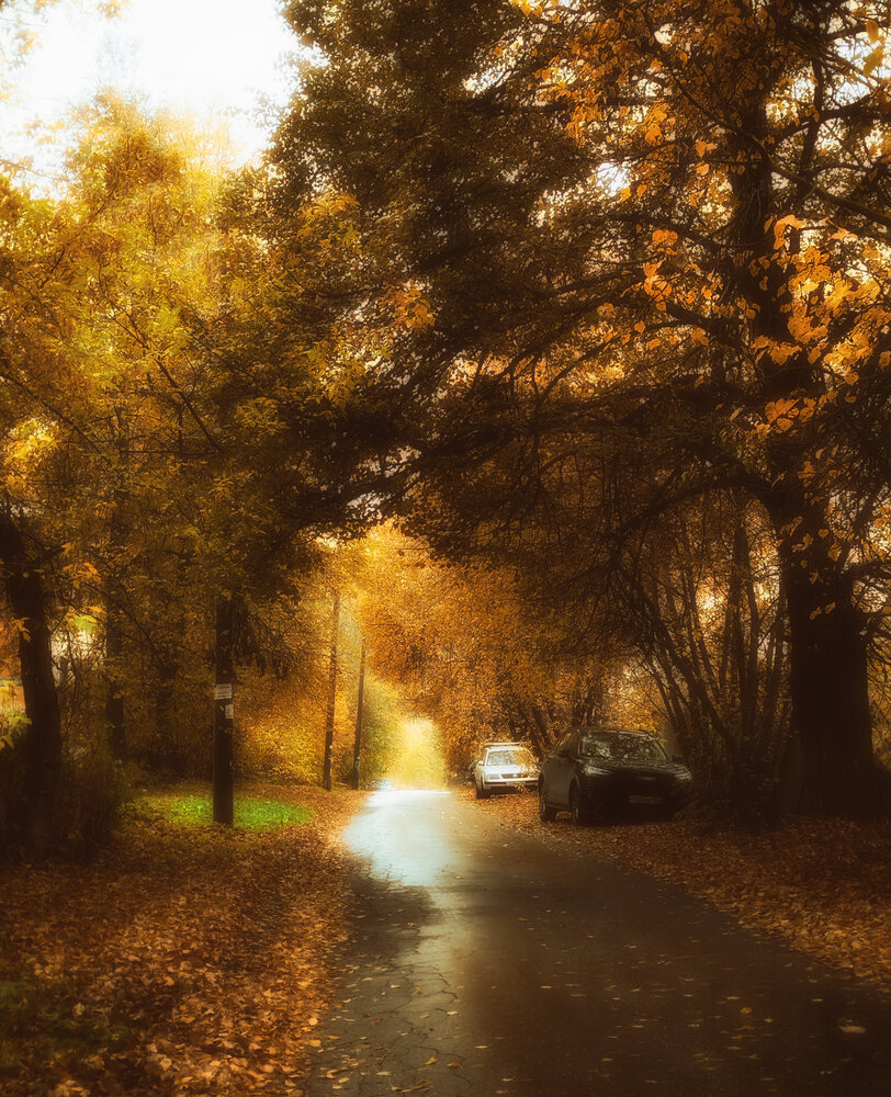 Photo #13808956