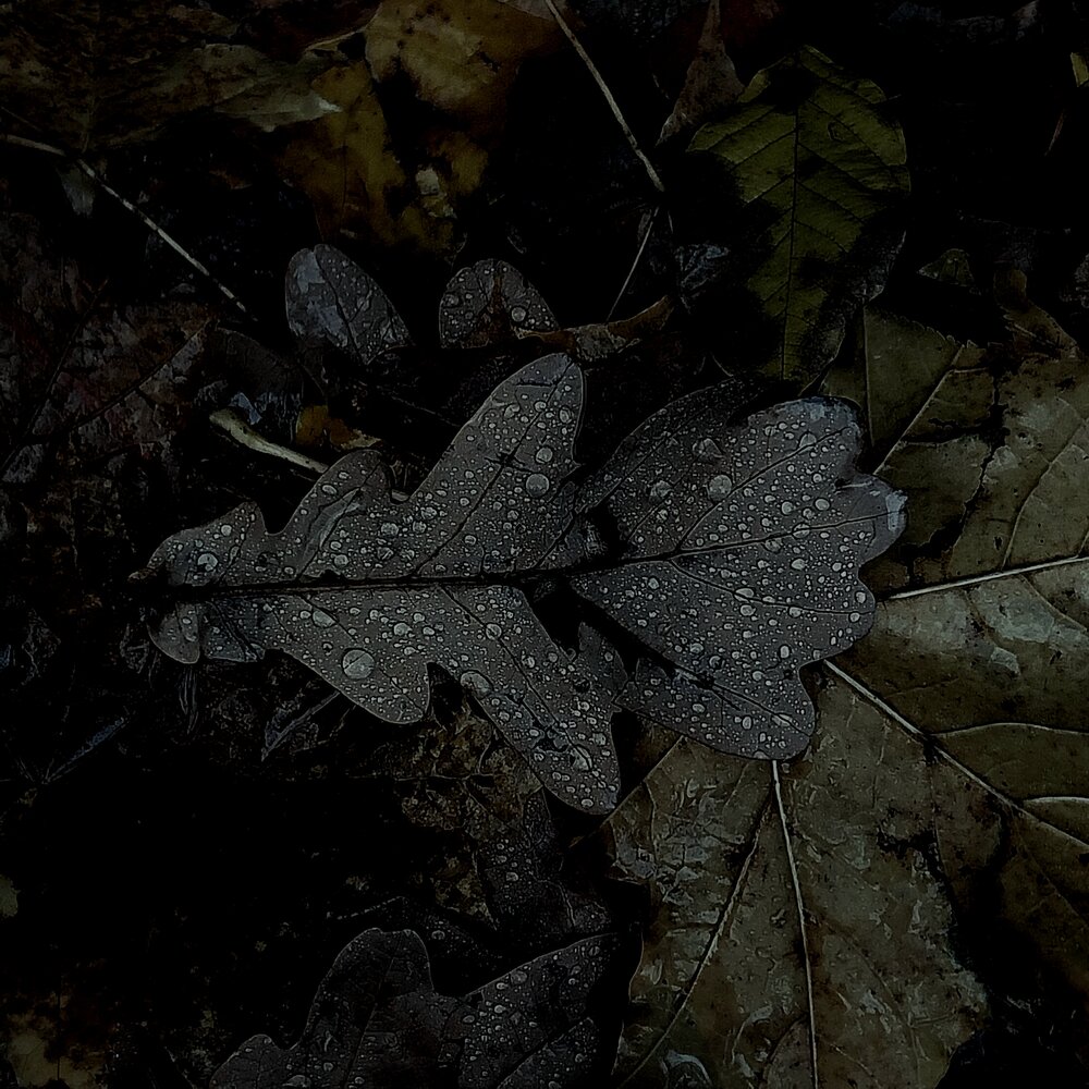 Photograph by Олеся Матвеева
