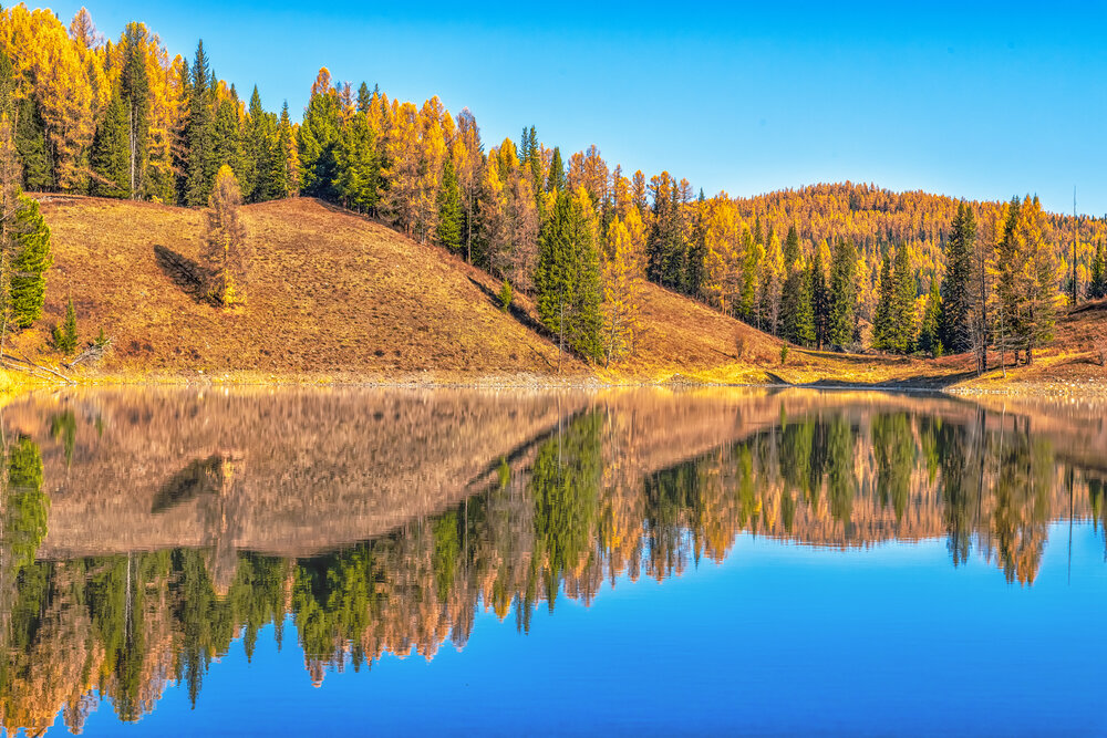 Краски осени