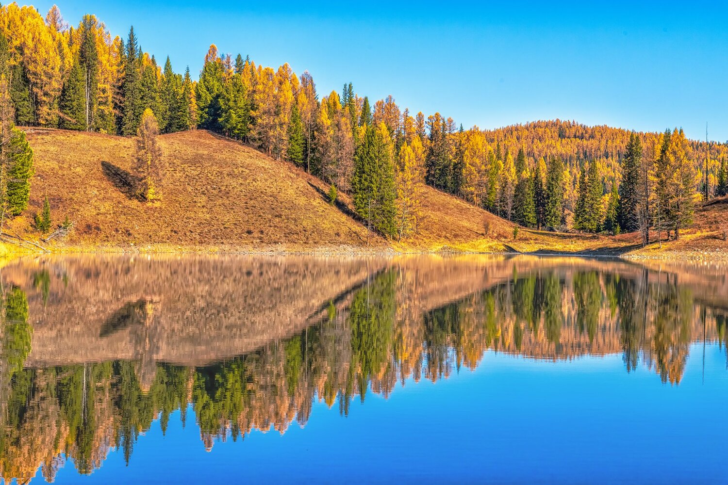 Краски осени