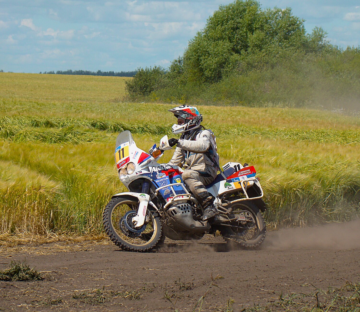 Photo #13808969