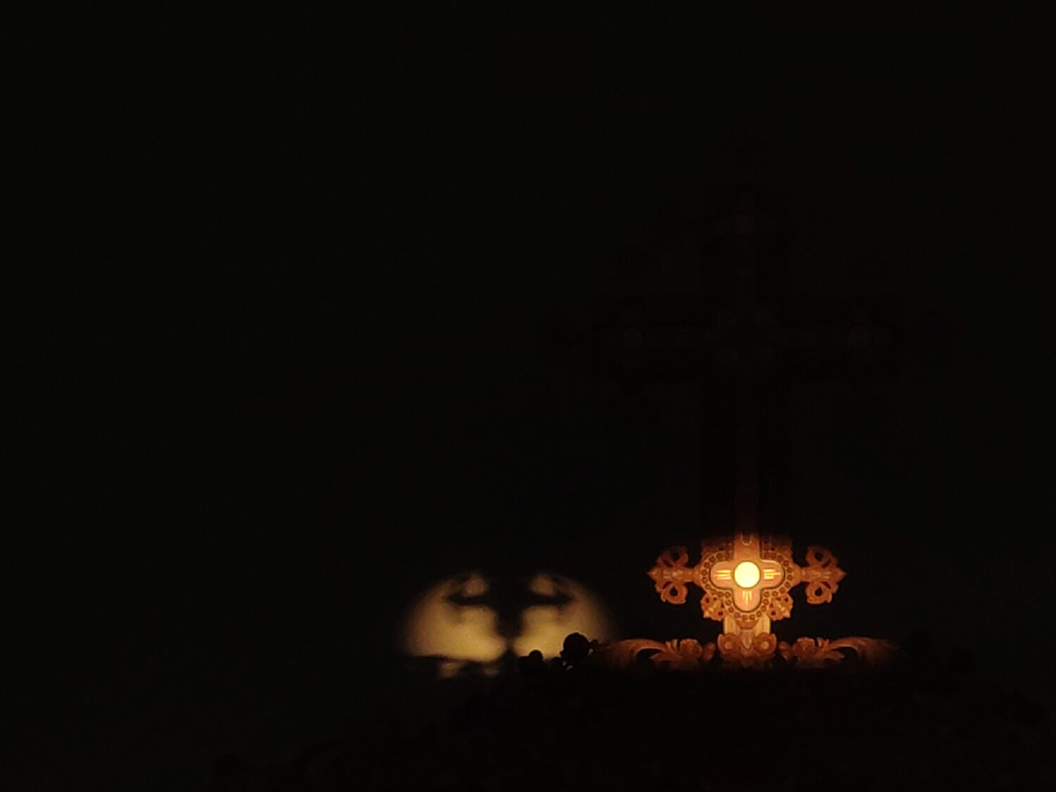 Photo #13809007