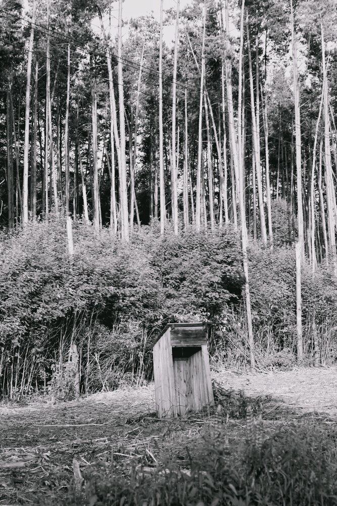 Photograph by Наталья Макаренкова