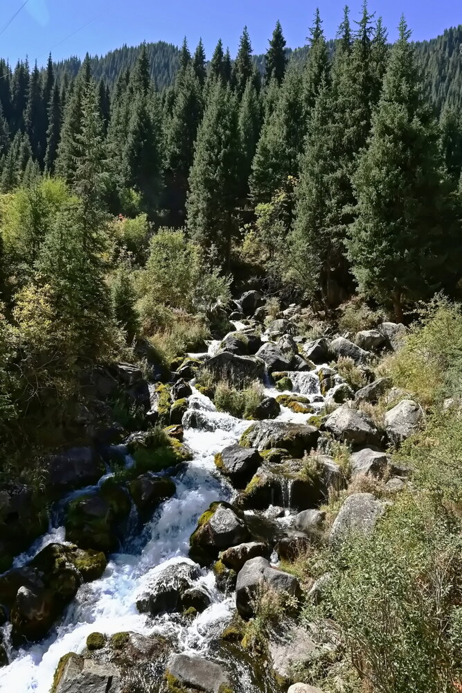 Photograph by Наталья Баранова