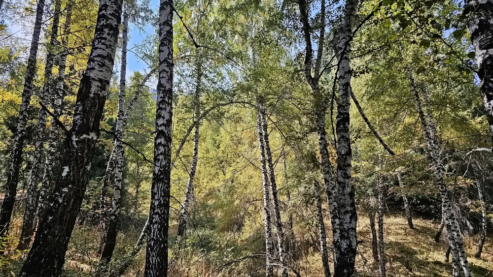 Photograph by Наталья Баранова
