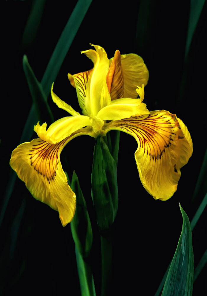 Photograph by Михаил Малец
