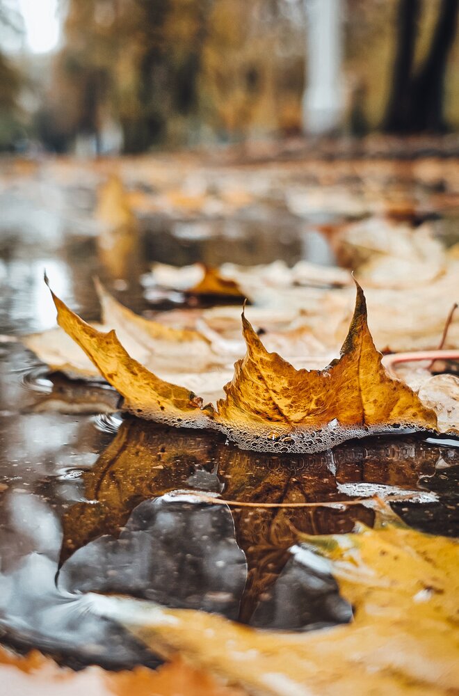 Photograph by Екатерина Николаева