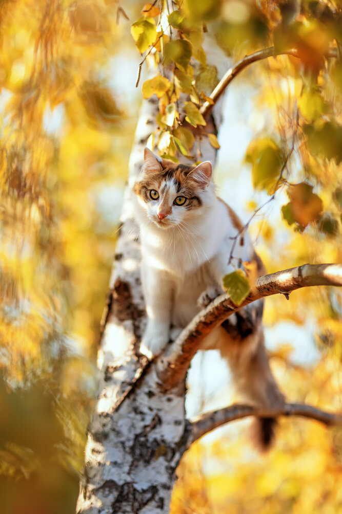 Photograph by Наталья