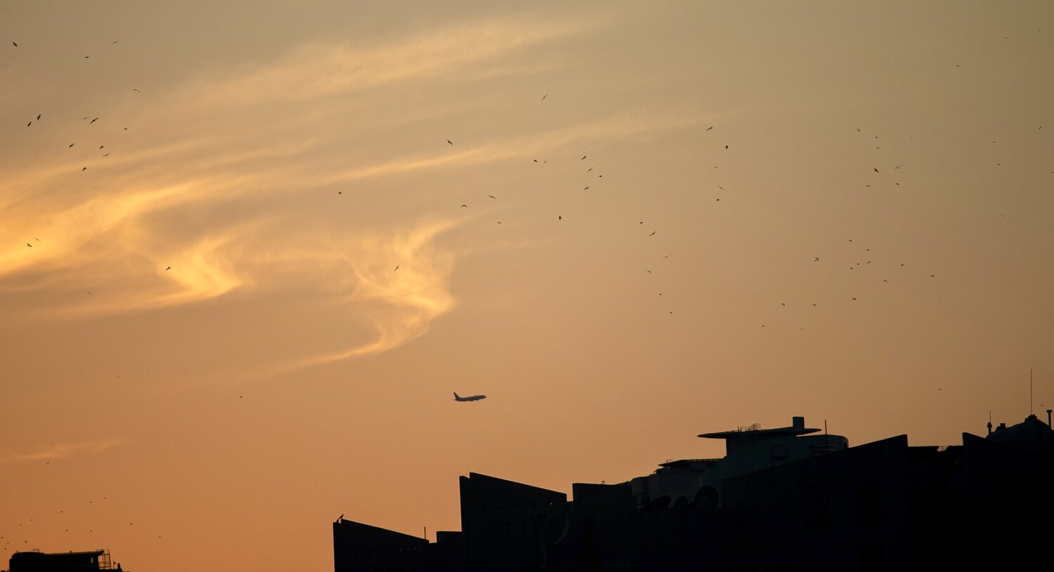 Photo #13809276