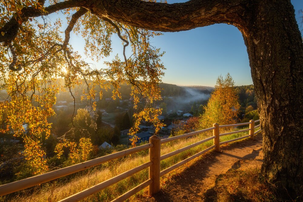 Photograph by Elvis Antson