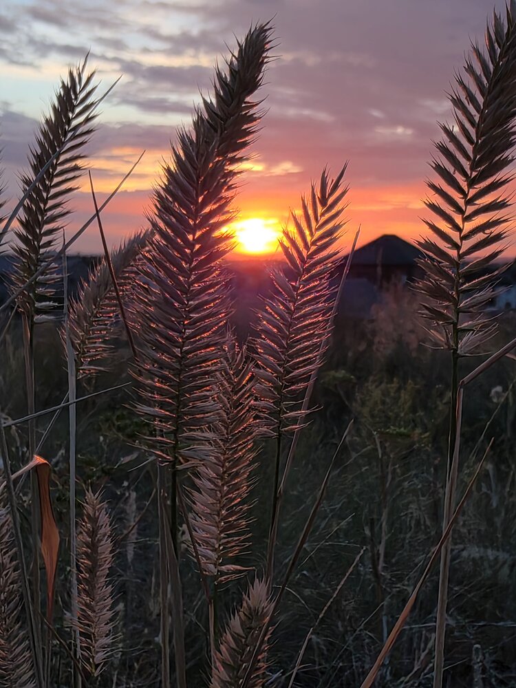 Фотография автора Юлия