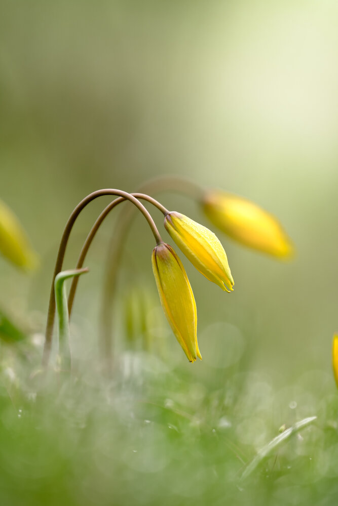 Photograph by Сергей Кравченко